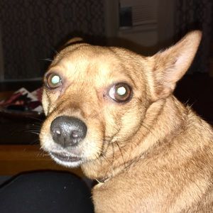 Meet your Posher, Angela